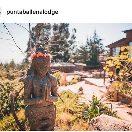 Punta Ballena Lodge 피칠레무 외부 사진