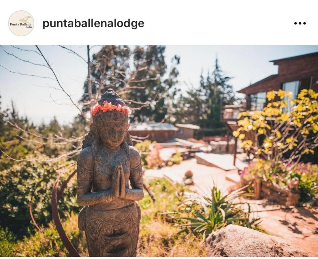 Punta Ballena Lodge 피칠레무 외부 사진
